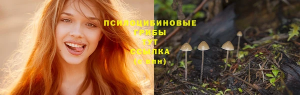 дурь Надым