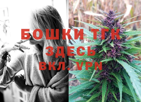 дурь Надым