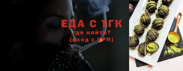 индика Бугульма