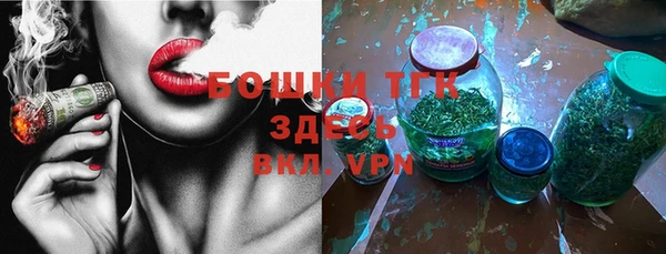 ГАЛЛЮЦИНОГЕННЫЕ ГРИБЫ Бородино