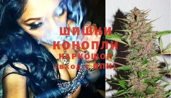 дурь Надым